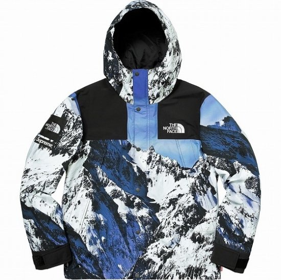 17AW Supreme The North Face Mountain Parka Jacket シュプリーム 